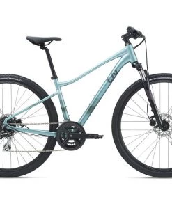 Giant Rove 3 DD Disc 2021 | Hybrid Bikes