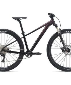 Giant Tempt 29 1 2021 | Hardtail