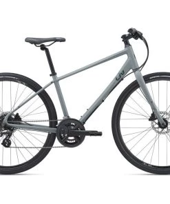 Giant Alight 2 DD Disc 2021 | Urban Bikes