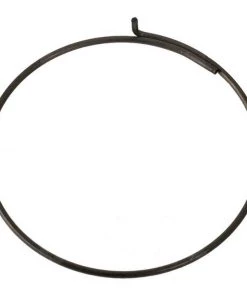 Pawl Spring For All Campagnolo Freehubs 5pcs 2019 | Other