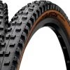 Continental Der Kaiser ProTection APEX TR 2022 | Tires