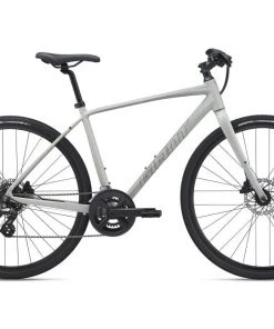 Giant Escape 2 Disc 2021 | Urban Bikes