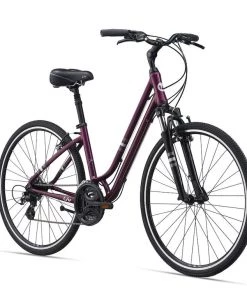 Liv Flourish Fs 1 2021 | Urban Bikes -Scott's Cycle store p81bUfAZr7VScEixioHz cMOc